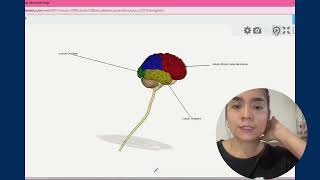 Neuroanatomía  Eje4 [upl. by Mori]