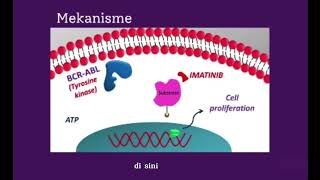 Mekanisme Kerja Obat Imatinib💊 [upl. by Nonnairb832]