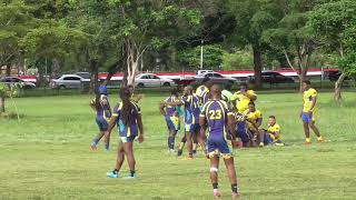 Royalians vs Caribs RFC  Round 10  TampT Rugby 2024 [upl. by Nwaf]