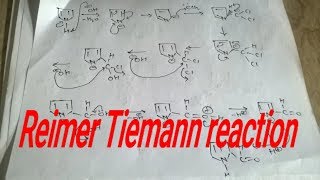 Reimer tiemann reaction mechanism heterocyclic [upl. by Imogene189]