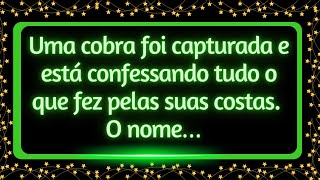 🚨Uma cobra foi capturada e ela está confessando tudo o que fez pelas suas costas O nome… 🐍 [upl. by Farny]