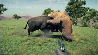 Grizzly Bear vs Bull Far Cry 5 [upl. by Suzetta561]