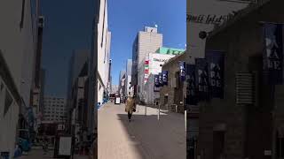 サロンの道順をお知らせいたしますー！札幌大通りから１分！ [upl. by Trisha]