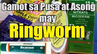 Solution sa Pusa at Asong may Ringworm [upl. by Ikcir]