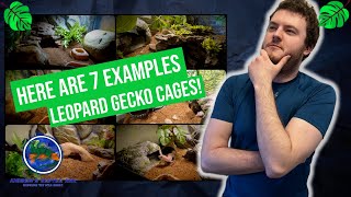 How To Setup the Best Leopard Gecko Enclosures [upl. by Hartmunn]