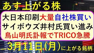 あす上がる株 2024年３月１１日（月）に上がる銘柄 ～最新の日本株での株式投資。初心者でも。鳥山明氏訃報でTRICO急騰。サイボウズを井村。大日本印刷の自社株買いと自己株消却～ [upl. by Nesnah]