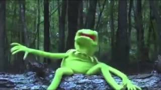 Kermit the Frog ALS Ice Bucket Challenge in reverse [upl. by Retsek]