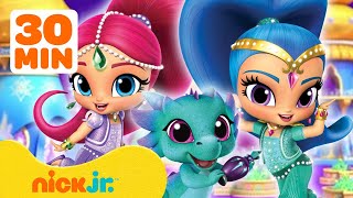 Shimmer and Shine Rescue Animals w Leah amp Zeta the Sorceress  30 Minute Compilation  Nick Jr [upl. by Ylatfen959]