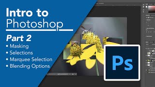 Photoshop Bootcamp for Beginners Part 2 Create a Hockney inpsired photo using selection tools [upl. by Sellihca]