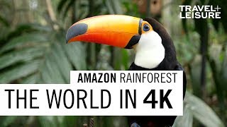 Amazon Rainforest  The World in 4K  Travel  Leisure [upl. by Christoforo576]