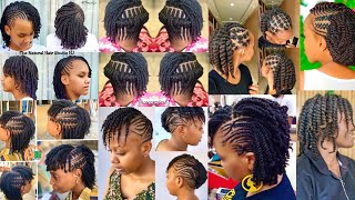 Natural Hair Twist Styles  Twist Hairstyles for Natural [upl. by Natsuj666]