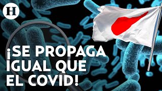 ¡Activan alerta sanitaria en Japón Brote de estreptococos se propaga en tiempo récord síntomas [upl. by Atalya443]