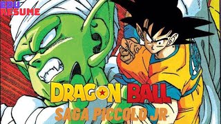 Dragon Ball Clássico 7º parte a Saga do Piccolo JR [upl. by Nivlac]