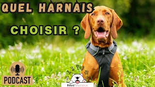 Quel harnais choisir pour son chien  Le plus adapté [upl. by Ahsenak]