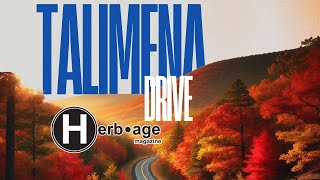 Talimena Drive A Serene Journey Through Oklahoma’s Fall Foliage  Presented by Herbage Magazine [upl. by Alimhaj]