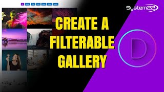 Divi Theme How To Create A FILTERABLE GALLERY [upl. by Shellie]