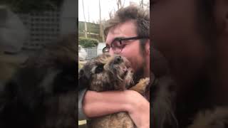 Border Terrier Runs Excitedly at Seeing Owner After Six Months  1017178 [upl. by Neiman373]