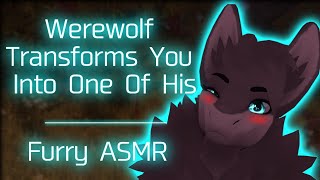 Furry ASMR Werewolf Transforms You Into One Of His Kissing Licking Mouth Sounds [upl. by Nosemyaj589]