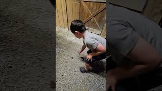 I wish someone was this excited to see me boy kids boymom frog funny farming watch [upl. by Trinatte]