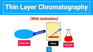 Thin Layer Chromatography  Animation [upl. by Tortosa915]