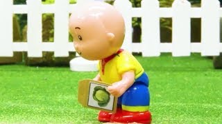 Caillou Juguetes  CAILLOU CULTIVA VEGETALES  Dibujos Infantiles Capitulos Completos  WildBrain [upl. by Anyal]