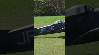 Large HyperRealistic RC Hawker Tempest Clostermann Taxiing on Grass short shorts [upl. by Esital]