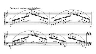 Scharwenka  3 Klavierstücke Op 86 AudioSheet Tanyel [upl. by Sherwin]