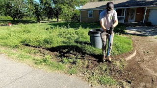 I spent ALL DAY removing 2000 pounds of overgrowth [upl. by Ahsiket40]