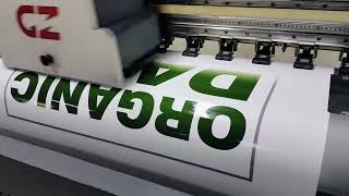 Vinyl Sticker Printing in Karachi Pakistan online order 92334777929 urgent printing [upl. by Sholes754]