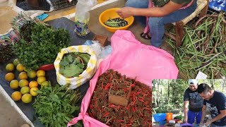 Nos Fuimos Al Mercado De Huejutla A Comprar Caxtilan Y Carne Seca Para Preparar Unos Ricos Bocoles [upl. by Kimon]