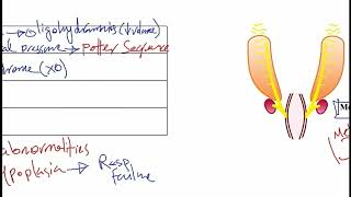 USMLE ACE Video 226 Congenital Renal and Urogenital Anomalies [upl. by Vic902]