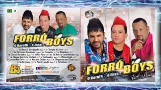 Forró Boys Vol 5  12 Loucos Por Forró [upl. by Ennaerb976]