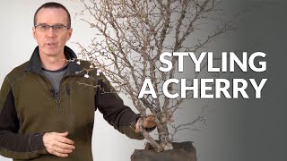 Styling a Cherry Bonsai Prunus [upl. by Annaliese]