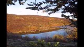 Caribou Hunt Highlights 2010 [upl. by Warfore720]