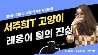 서주희T 고양이 털의 진실로 기억하는 비통사적 합성어 검붉다 [upl. by Isoais]