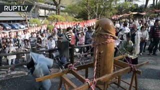 Penis Festival Dozens Worship Giant Wooden Phallus Japan [upl. by Simsar]