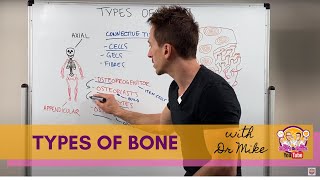 Types of Bones [upl. by Tutankhamen]