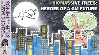 Gibberellin overexpression increases tree biomass The future of forestry [upl. by Alikahs]