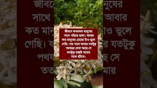 জীবনে কত রকম মানুষের সাথে পরিচয় হলো [upl. by Adnoral]