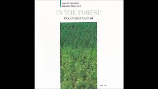 Takatoshi Naitoh 内藤孝敏  In The Forest 1993 Full Album [upl. by Theadora959]