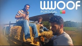 WWOOFer Experience in Portugal [upl. by Zavras50]