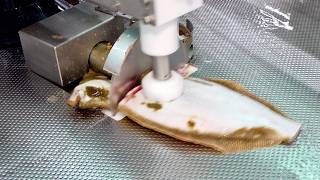 Cutting and Separating Fish in an Instant Sashimi Automatic Mass Production Factory Process [upl. by Eelrak]