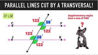 Parallel Lines Cut by a Transversal amp Angle Relationships [upl. by Anitsyrc]