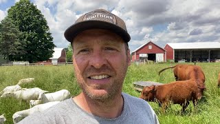 MultiSpecies Rotational Grazing  Why Keeping Up Now Means Being Short Later rotationalgrazing [upl. by Tippets]