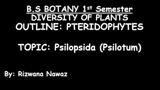 Psilopsida Psilotum by Rizwana Nawaz [upl. by Derick]