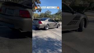 Boosted Mustangs S550 S197 New Edge  Cobras shorts fyp viral car mustang musclecar ford [upl. by Mayor219]