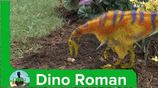 Dino Romans Field Guide The Compsognathus [upl. by Ivetts]