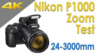 Nikon P1000 Zoom Test [upl. by Essilem]