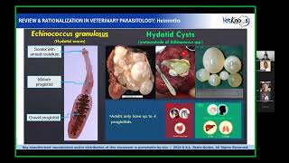 Parasitology Lecture 3 Part 2 [upl. by Cand]