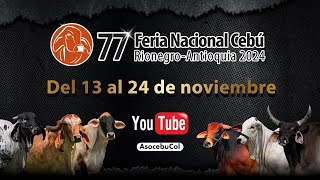 77° Feria Nacional Cebú Rionegro  Antioquia 2024  Día 3 [upl. by Nereen]